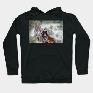 Siberian Tiger -  02 Hoodie